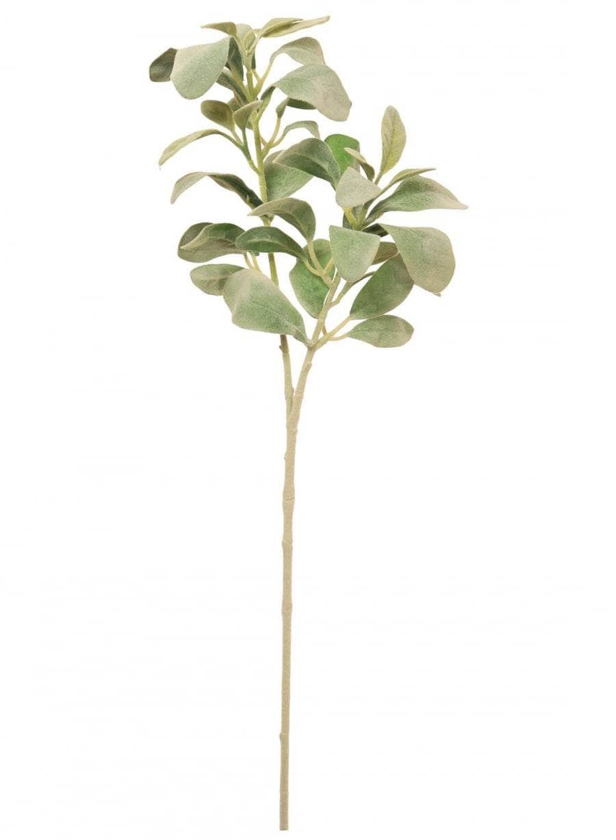 Homeware - Lambs Ear Spray - Natural Green - 60005665