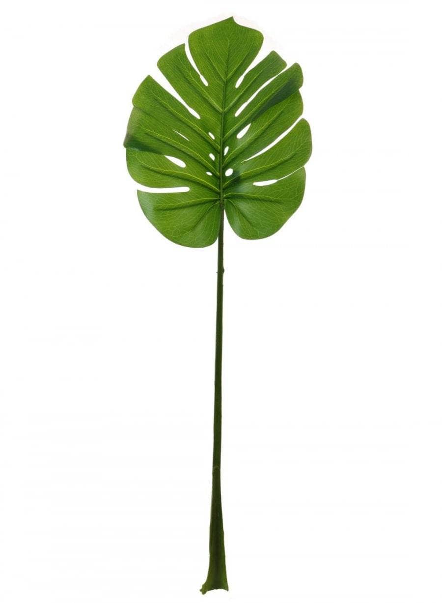 Homeware - Large Monstera Stem - Green - 60005666