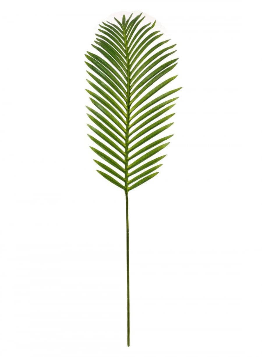 Homeware - Tropical Fern Leaf - 60005667