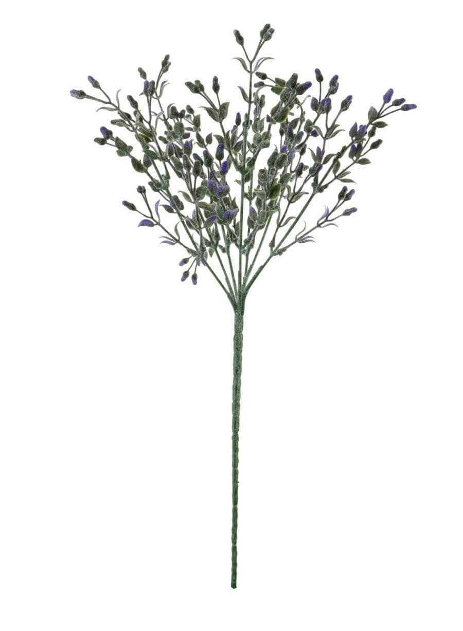 Homeware - Long Stem Jasmin Spray - Purple - 60005671