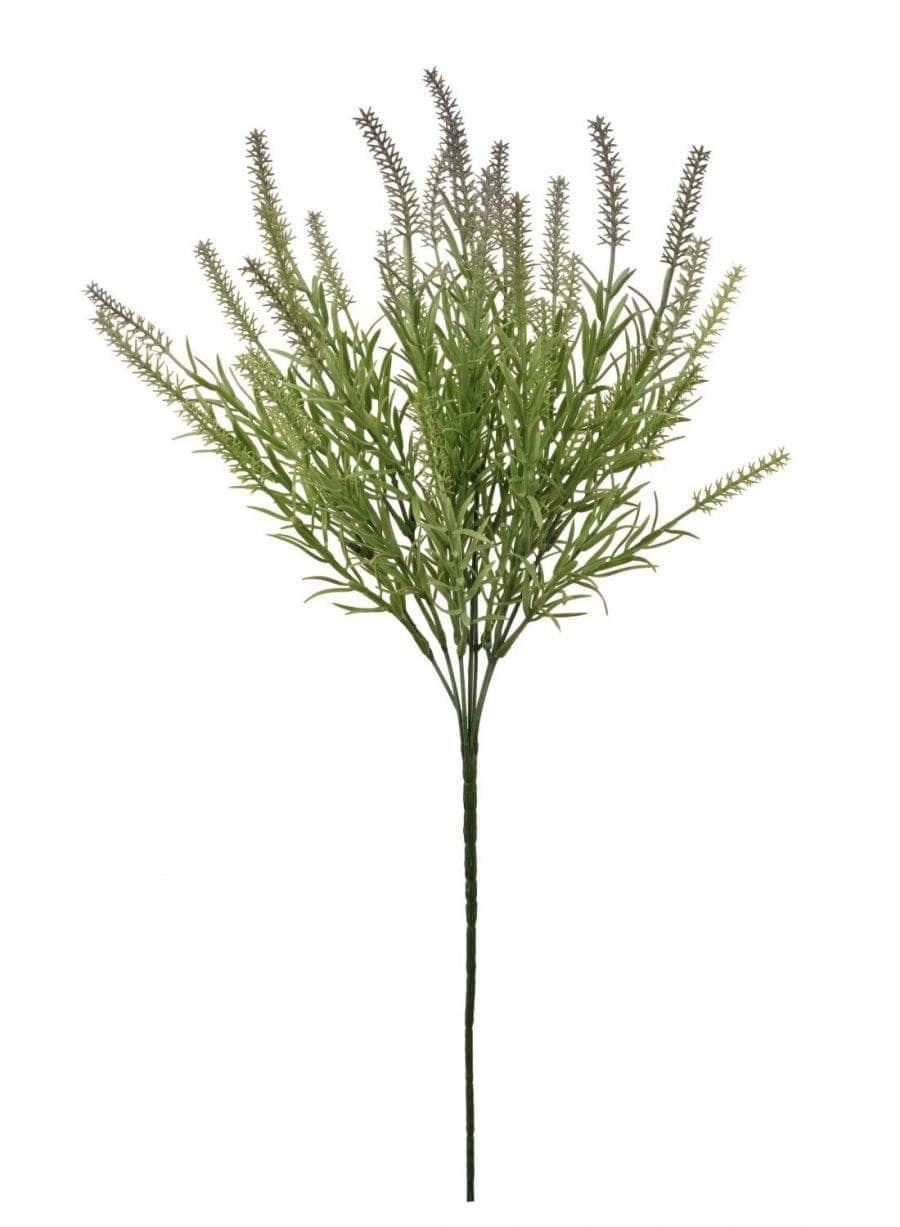 Homeware - Plastic Long Stem Thorn Spray - Purple & Green - 60005672