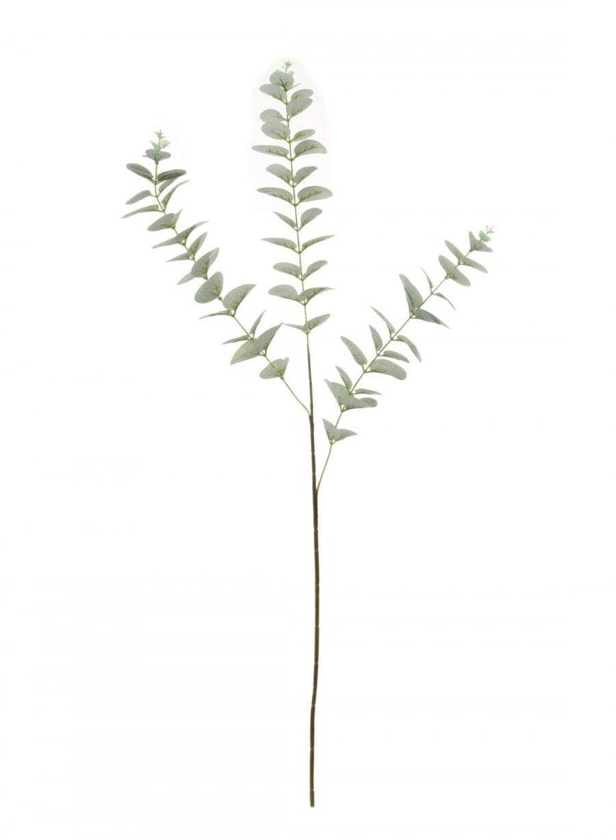 Homeware - Printed Eucalyptus Leaf Stem - Natural Green - 60005676