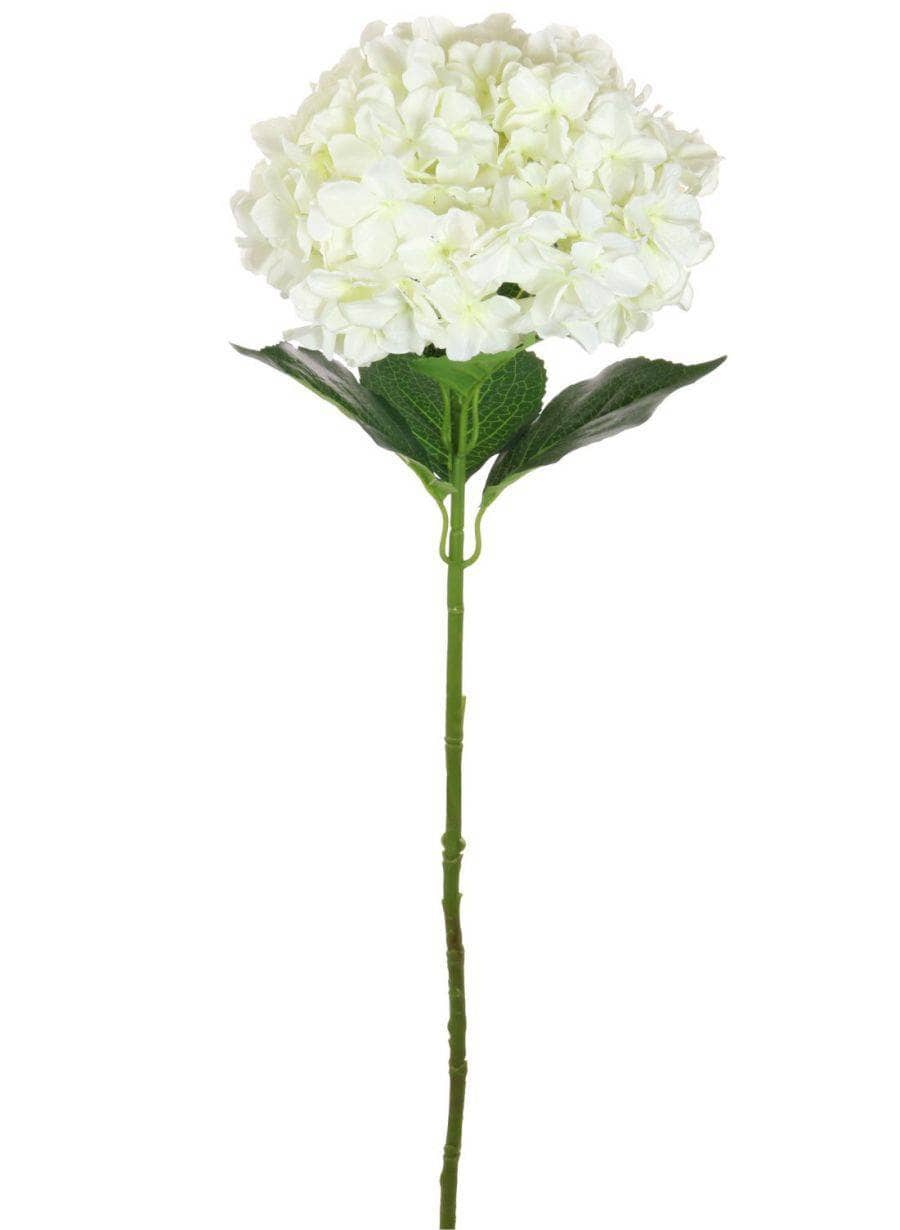Homeware - Silk Giant Hydrangea Stem - Ivory - 60005687