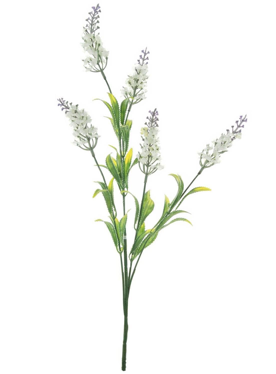 Homeware - Silk Lavender Spray - White - 60005695