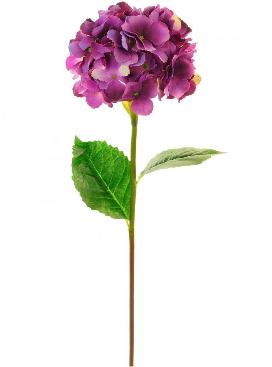 Homeware - Silk Mophead Hydrangea - Aubergine - 60005699