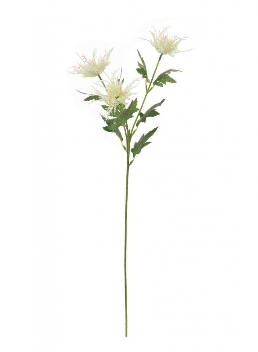 Homeware - Silk Spikey Thistle Spray - Cream - 60005710