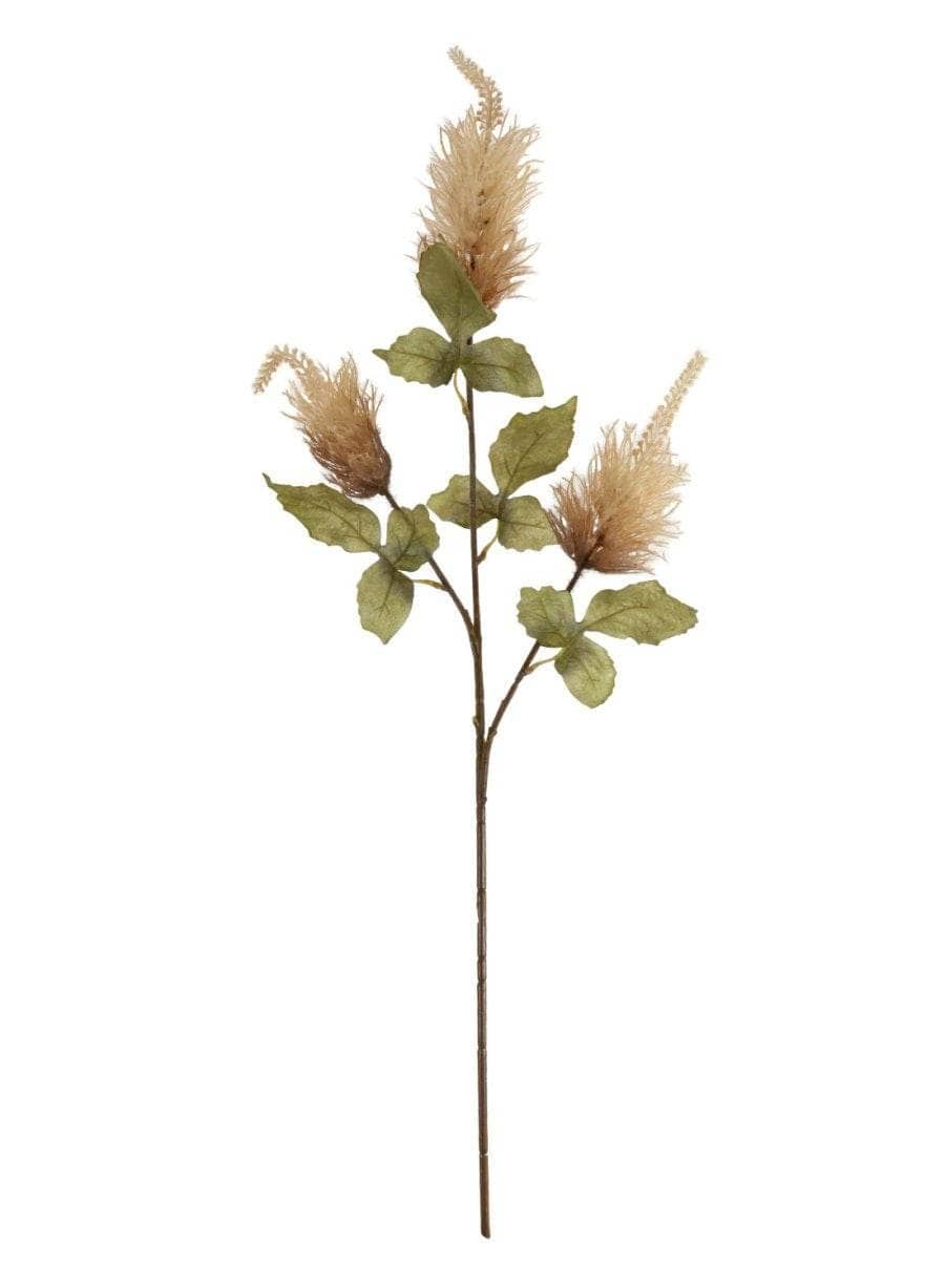 Homeware - Tall Alexis Spray - Mocha - 60005718