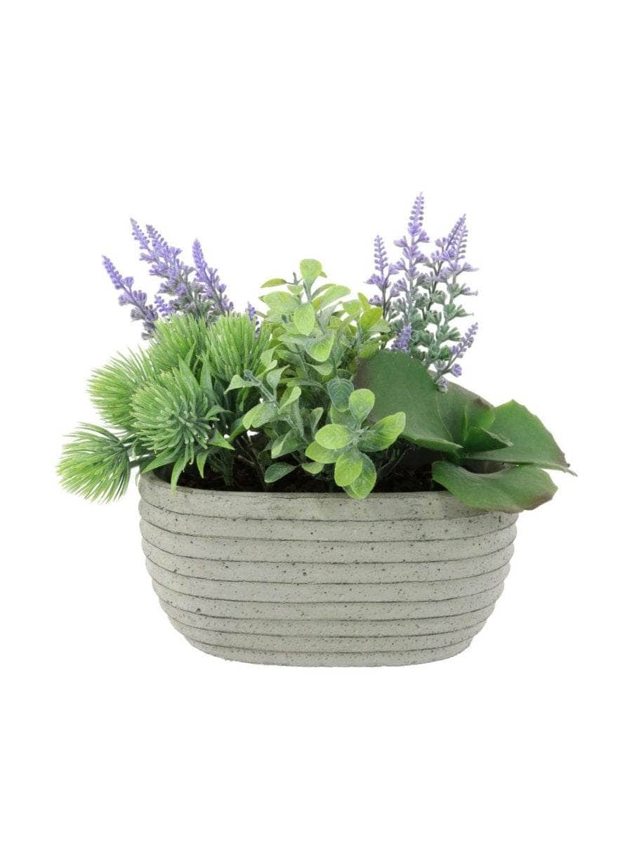 Homeware - Tropical Thistle & Hedge Arrangement - 60005724