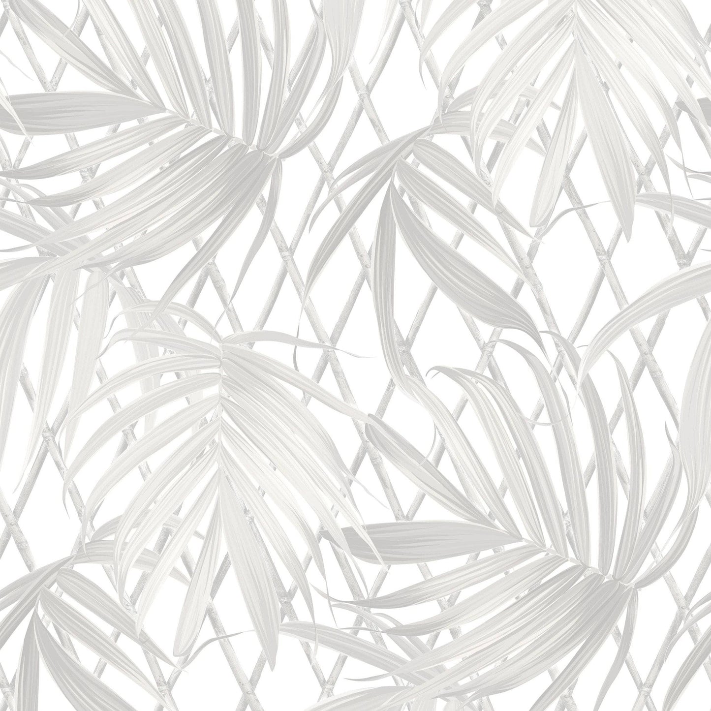 Sample - Rasch Sample 539530 - 60011350