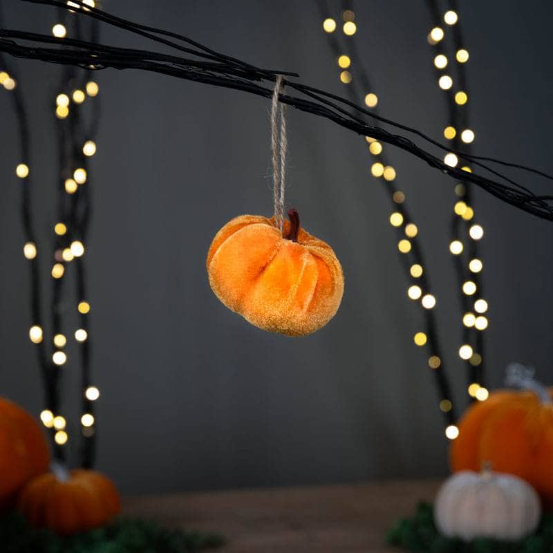 Assorted Mini Pumpkin Decoration Taskers Online Store Liverpool assorted-mini-pumpkin-decoration-taskers-online-store-liverpool