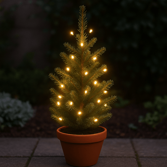 Lights - 100 Battery Powered Timer String Lights - Warm White - 60369767