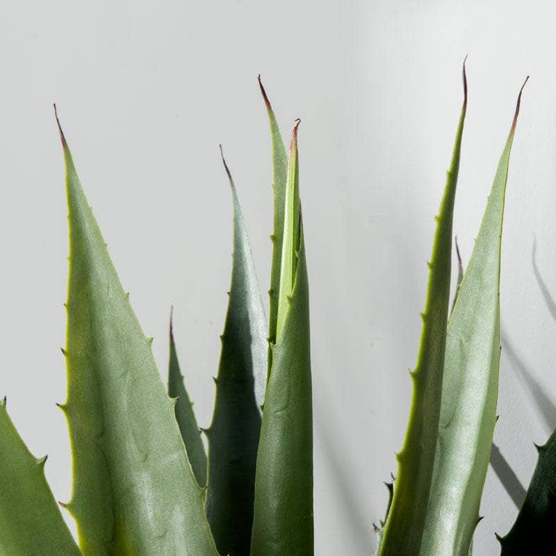 Homeware - Artificial Agave Plant - 85cm - 60008070