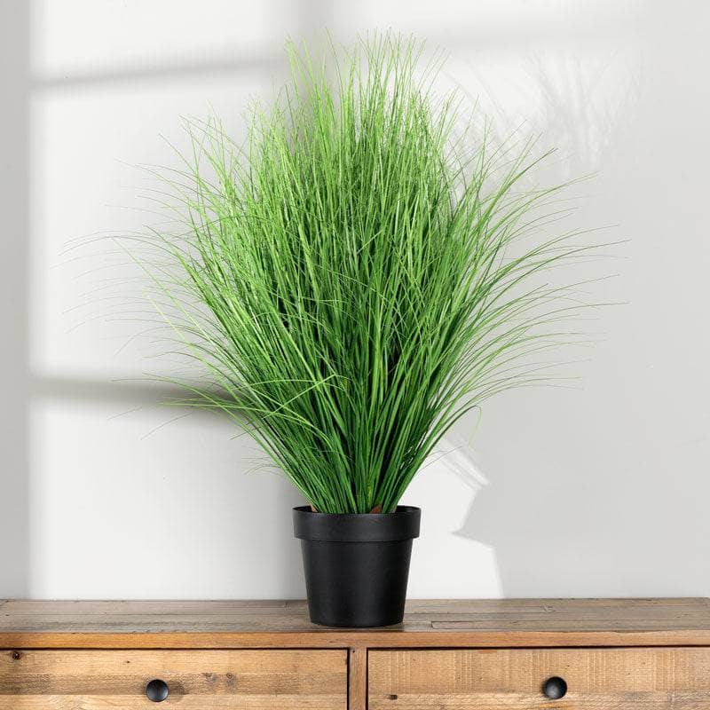 Homeware - Artificial Onion Grass 35" - 60008088