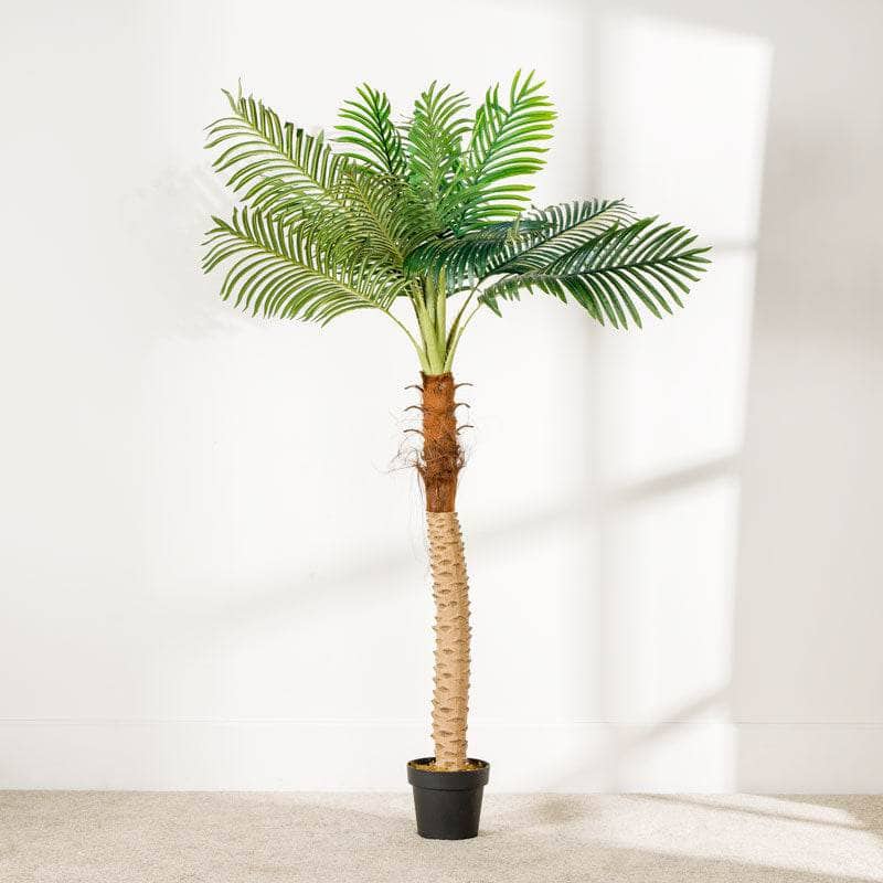 Homeware  -  Artificial Palm Tree - 180cm  -  60008090