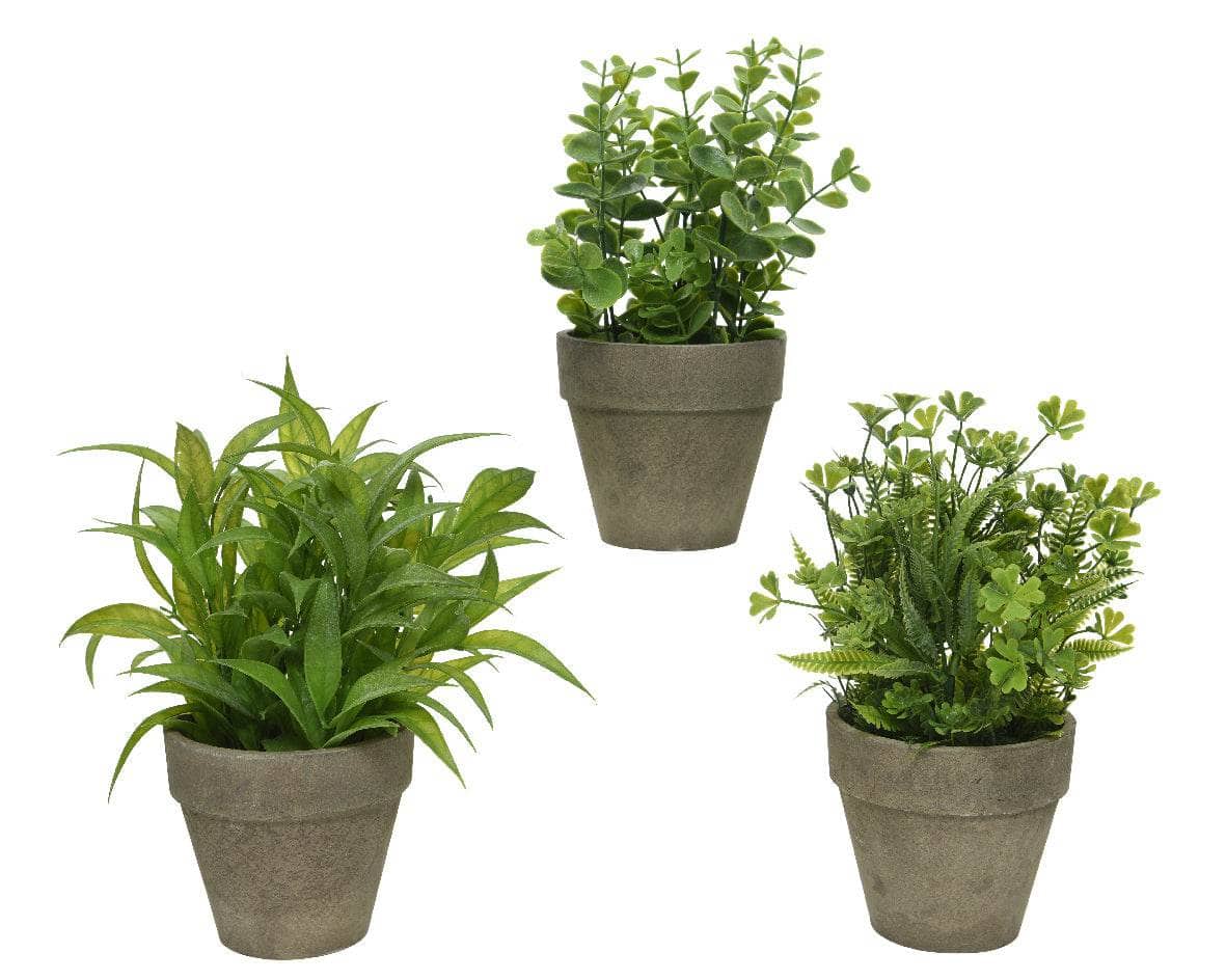 Gardening - Artificial Plant In Pot - Assorted - 60009624