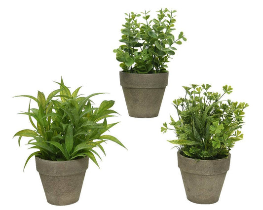 Gardening  -  Artificial Plant In Pot - Assorted  -  60009624