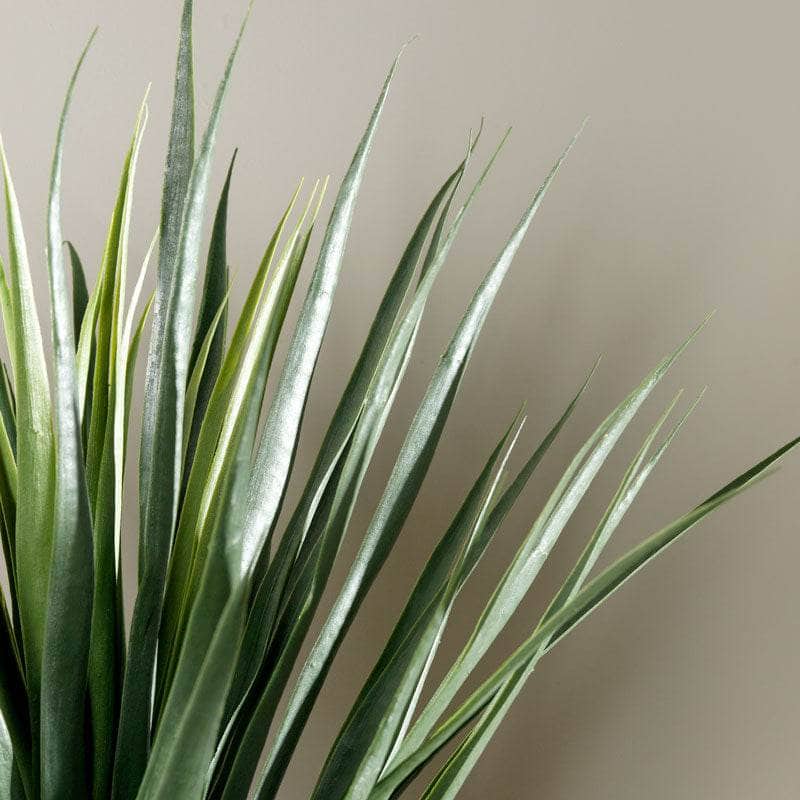 Homeware - Artificial Yucca Plant - 70cm - 60008078