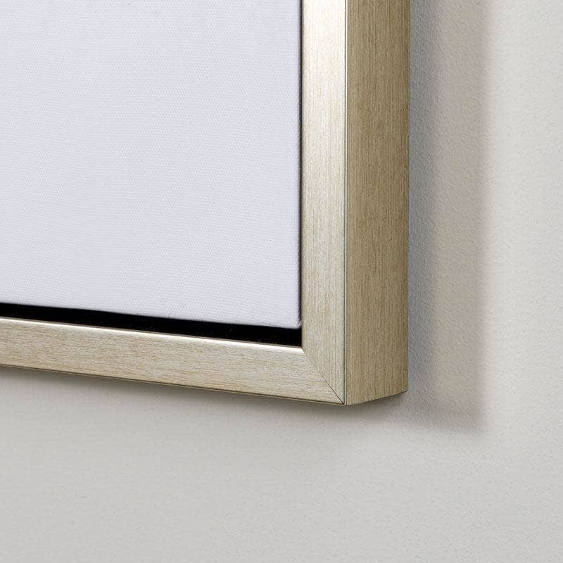 Pictures - Champagne Feather Framed Canvas - 60008251