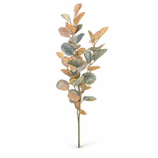 Homeware - Cream Faux Dried Eucalyptus - 97cm - 60487332