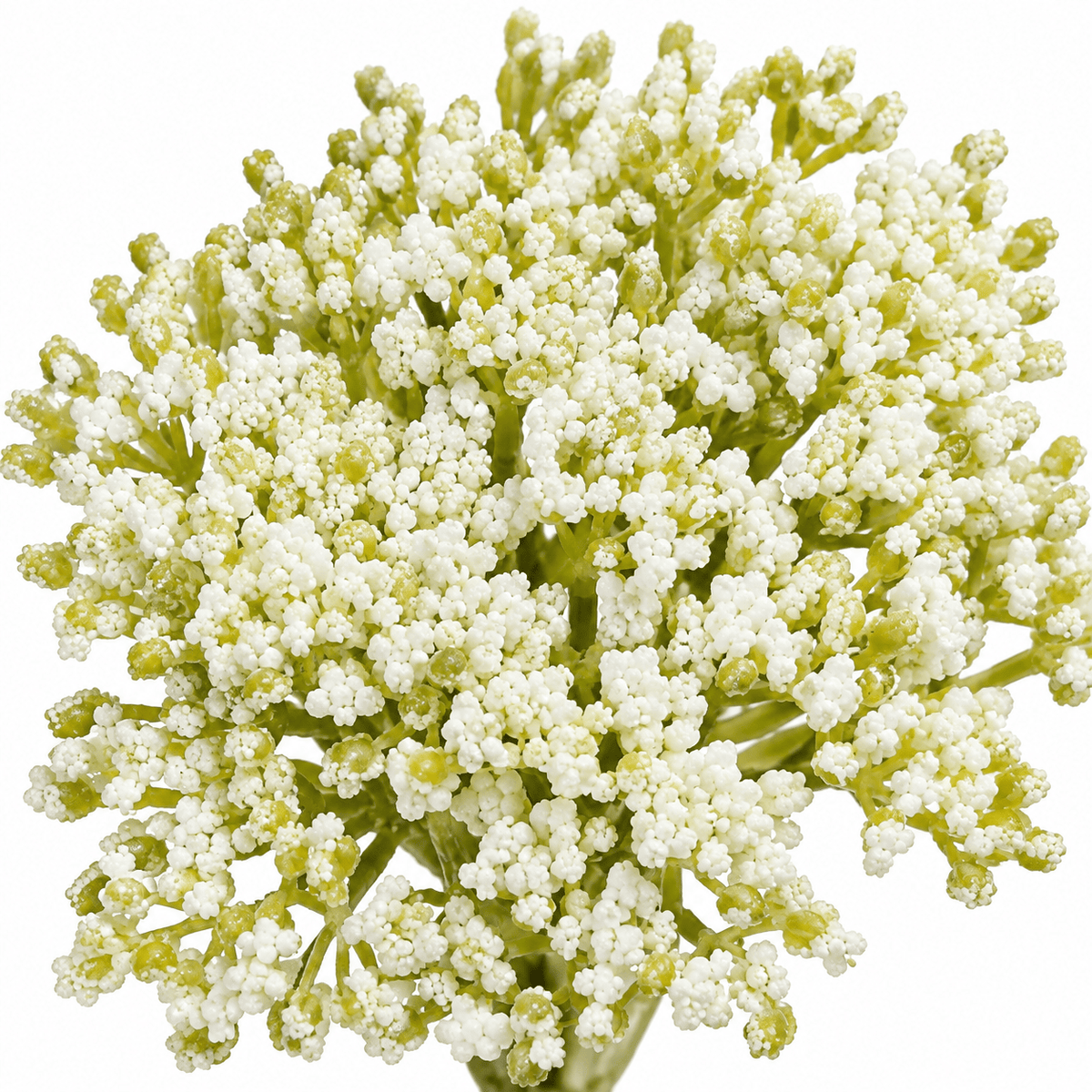 Homeware - Cream Lace Flower Spray - 36cm - 60487326