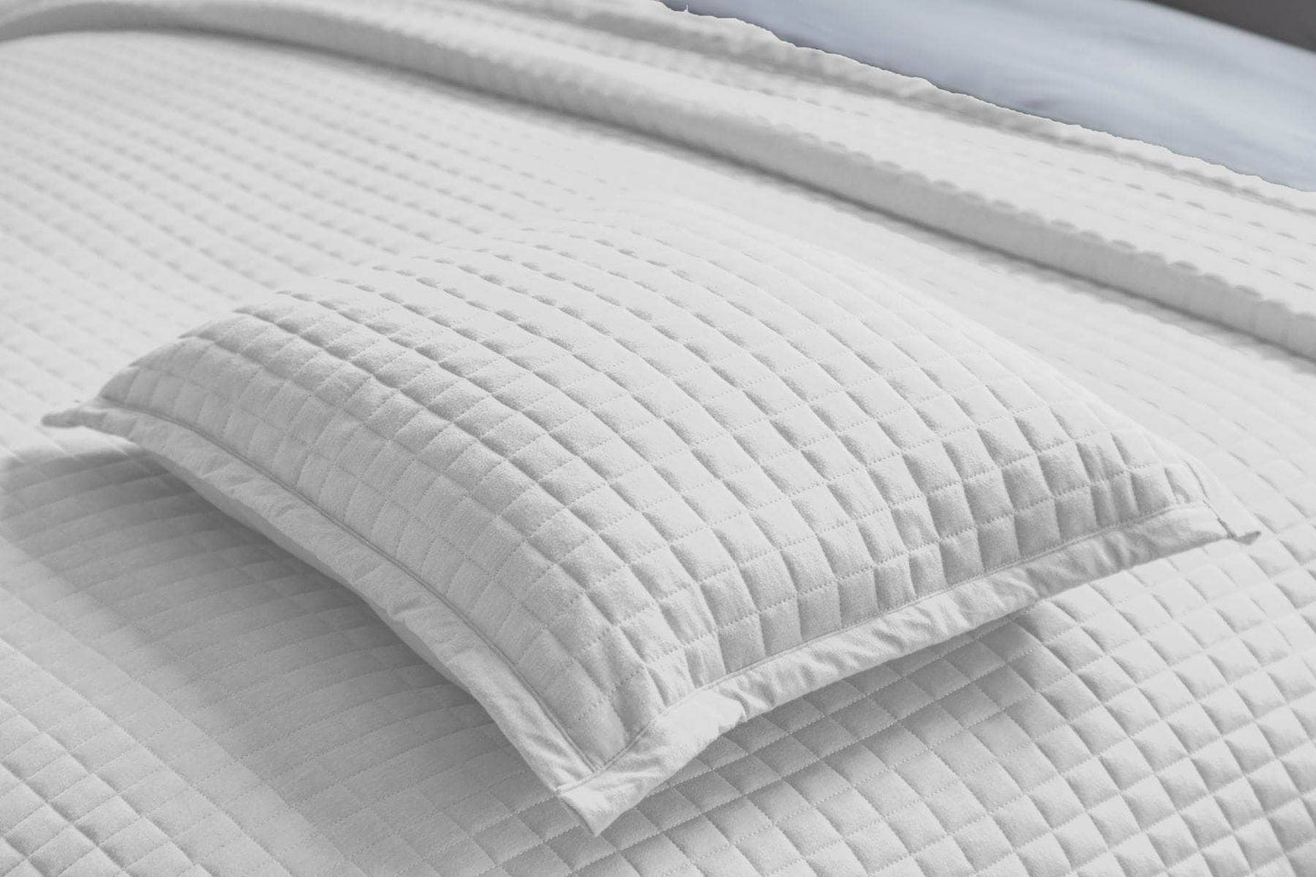 Homeware - Crompton Cushion - White - 60009958