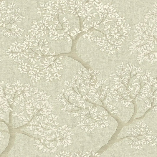 Wallpaper - Holden Giovanni Sage Tree Wallpaper - 36463 - 60486524