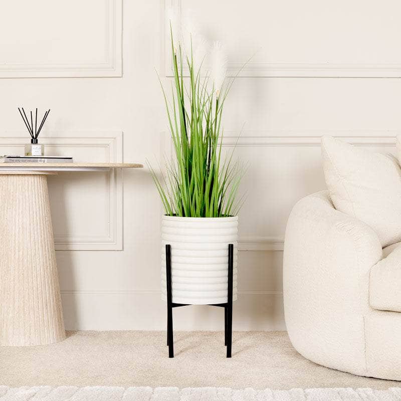 Homeware - Artificial Plume Grass - 120cm - 60011626