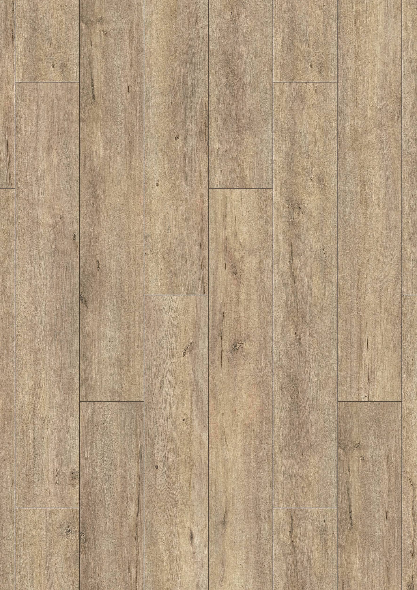 Flooring & Carpet - Krono Atlantic Mushroom Apollo 8mm Laminate Flooring (2.26m² Pack) - 60011168
