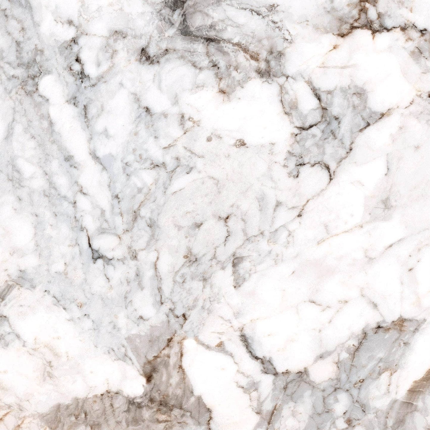 Tiles - Pamesa Pisa Gold Matt Tiles - 60 x 60cm - 60006825