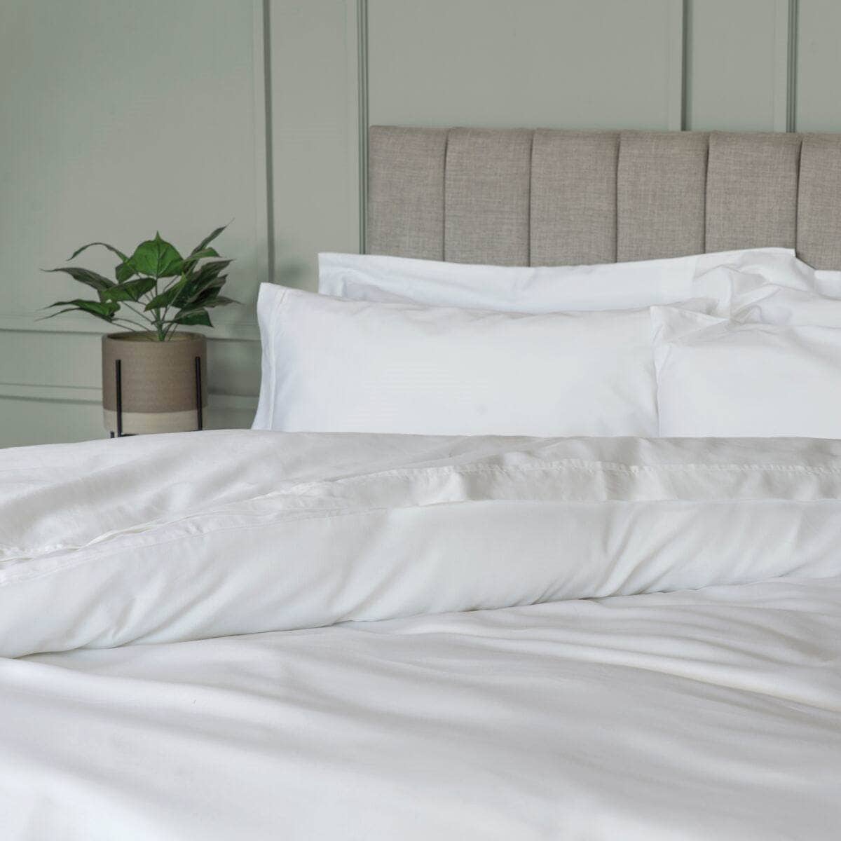 Homeware - Premium Blend 500 Count Pillowcase Pair - White - 60009841