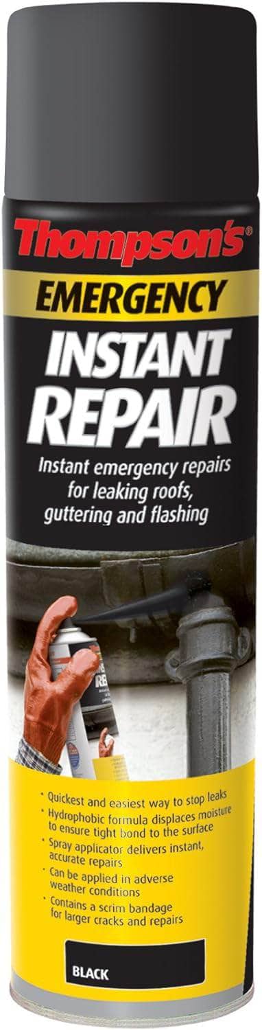 Paint - Rnseal Thmpsn Emerg Repair Areosol - 50045583