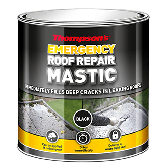 Paint - Thompson Emergency Roof Repair 750ml - 50045582