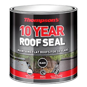 Paint  -  Thompson's  Roof Seal Black 4L  -  00485951
