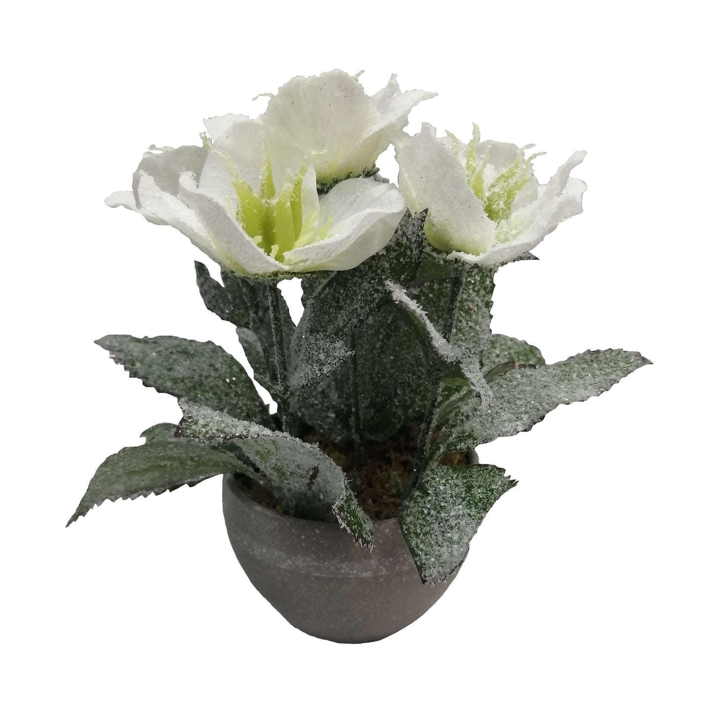 Christmas - Artificial White Frosted Hellebores - 19cm - 60484274