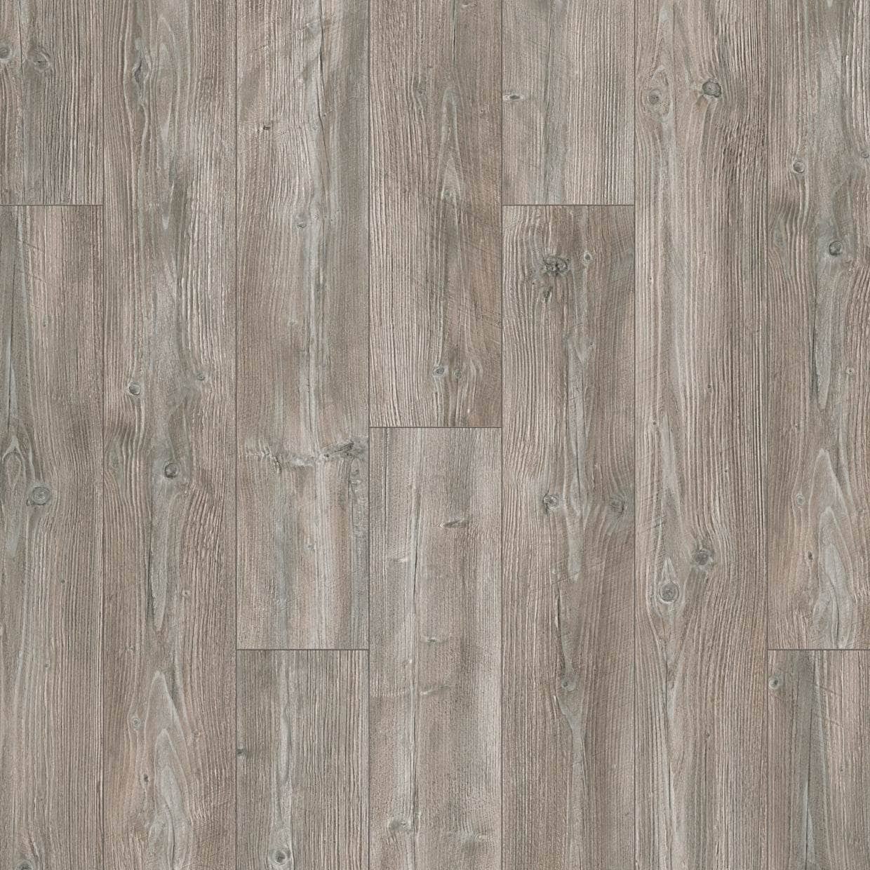 Flooring & Carpet  -  Krono Vario Plus Ponderosa Pine 12mm Laminate Flooring (1.48m² Pack)  -  60003744