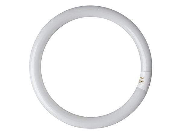 Lights - Eveready 40W T9 Circular Bulb - 50085463