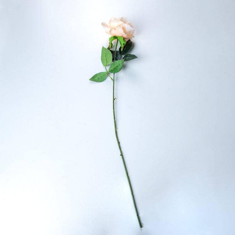 Christmas - Light Orange Rose Stem - 55cm - 50149252