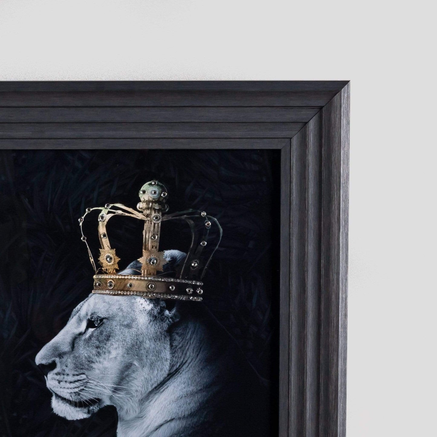 Pictures - Lion Queen Small Framed Picture 55 x 55cm - 50152944