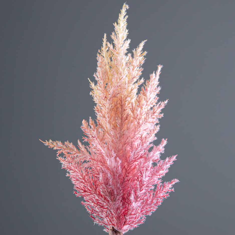 Gardening - Pink Pampas Grass Stem 90cm - 60002614