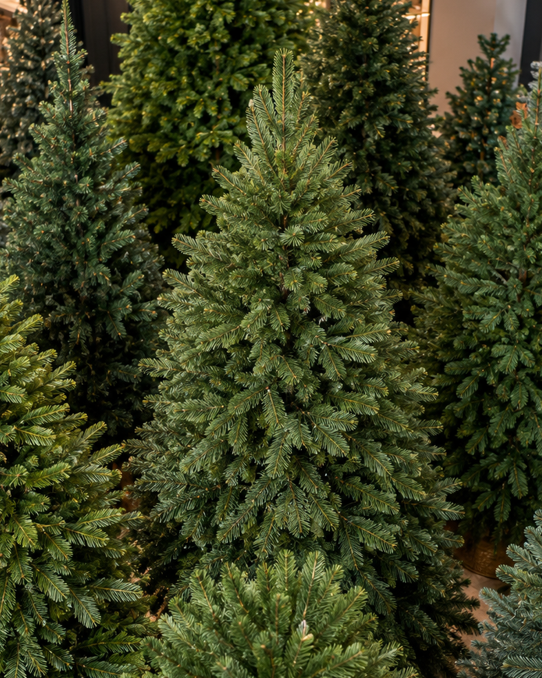 Christmas Trees, Bases & Skirts