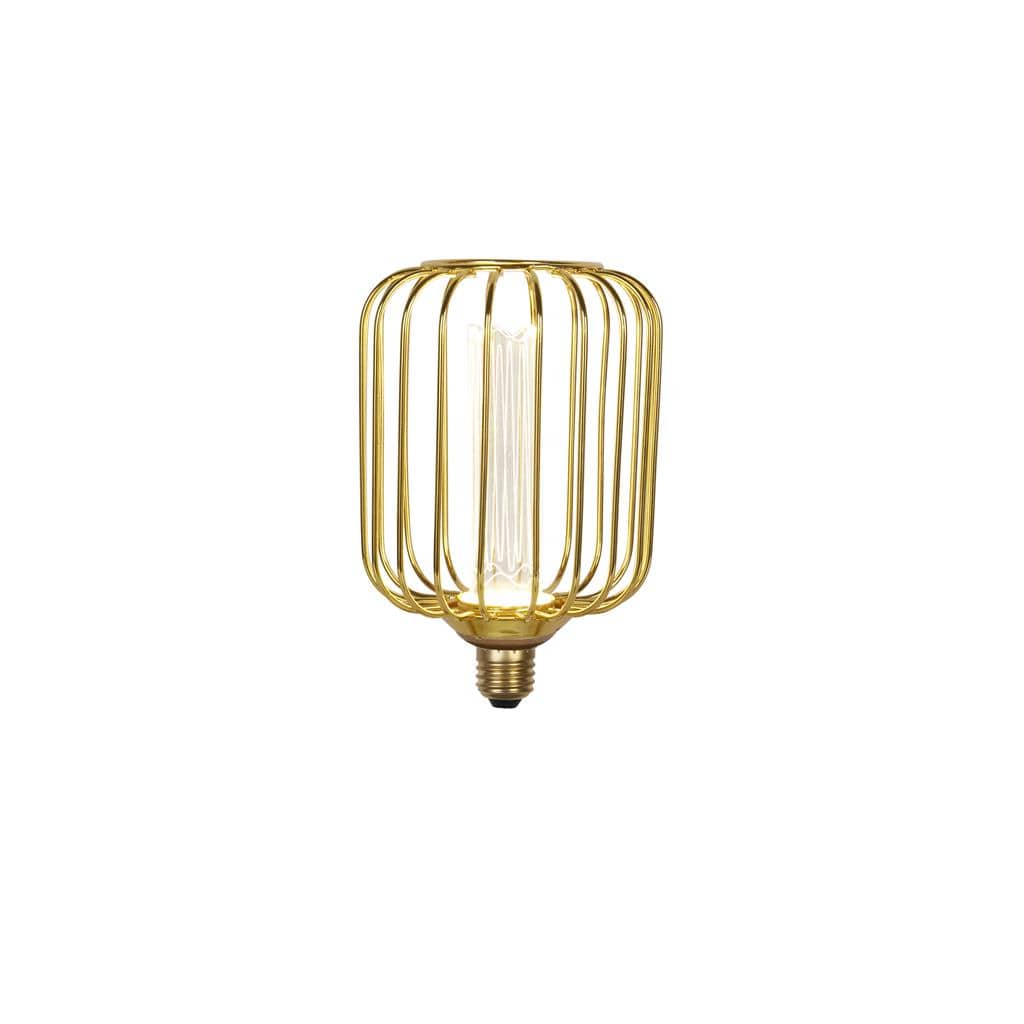Lights  -  Drum Cage Lamp - Gold Metal  -  60014346