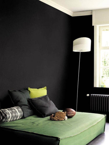 Paint  -  Dulux Silk Emulsion 2.5L - Rich Black  -  50090638