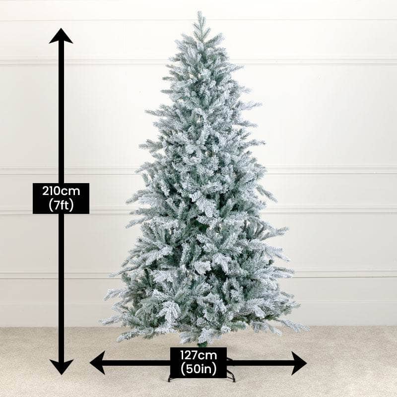 Christmas  -  Frosted Vermont 7ft Christmas Tree  -  50121639