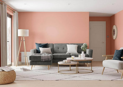Paint  -  Dulux Easycare 2.5L Matt Emulsion - Copper Blush  -  50141807