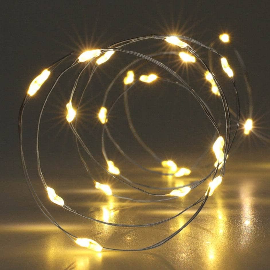 Gardening  -  100 Silver Wire LED Lights - Warm White  -  60008457