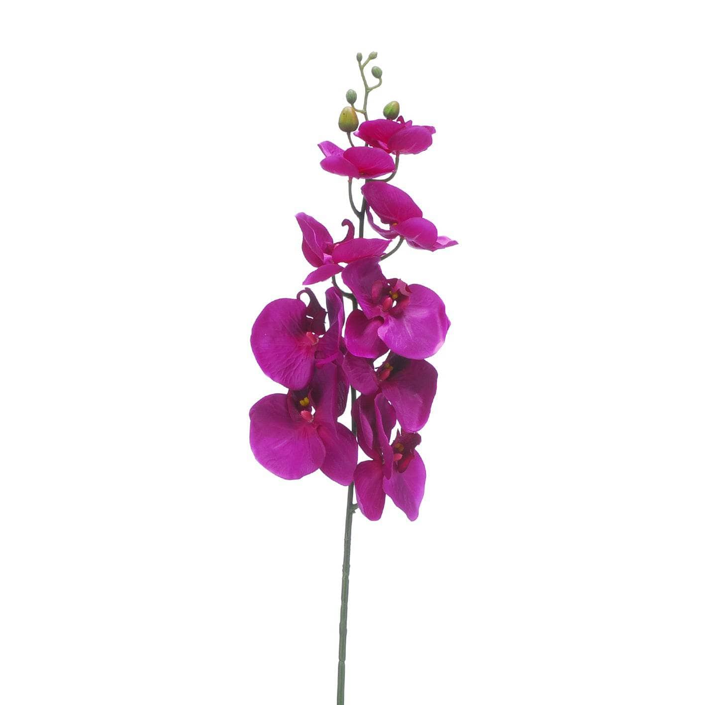 Purple Orchid with Green Leaves - 106cm  -  60008684