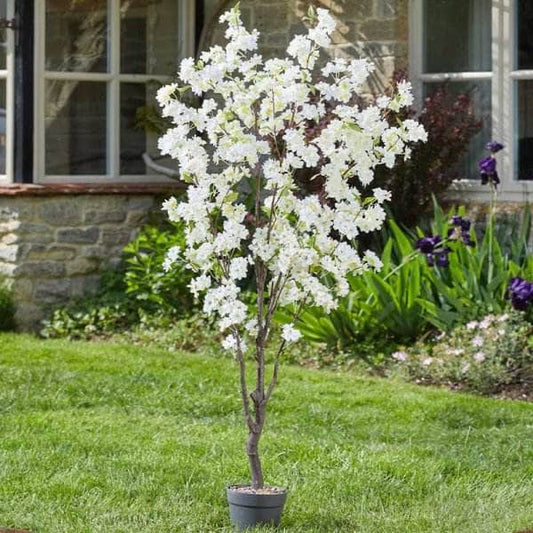  -  Artificial  White Cherry Tree - 170cm  -  60010212