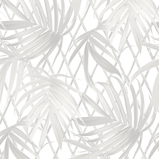 Sample  -  Rasch Sample 539530  -  60011350