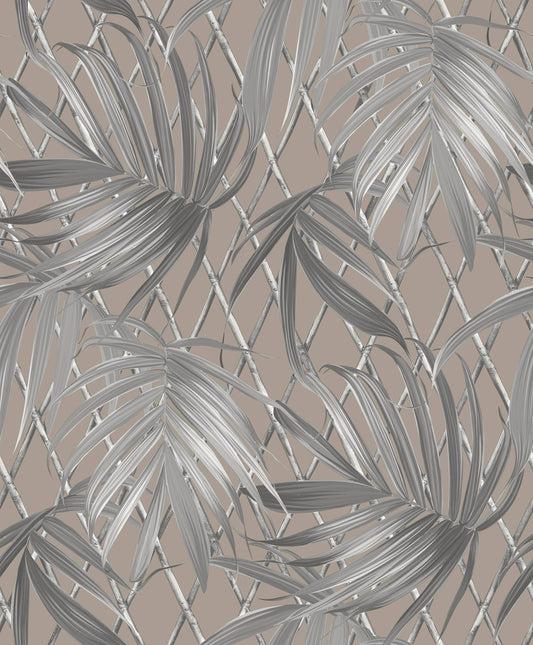 Sample  -  Rasch Sample 539554  -  60011352