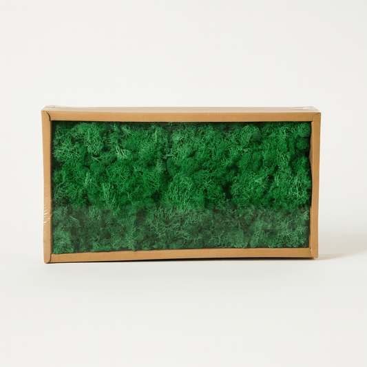 Christmas  -  Reindeer Moss Emerald Green - 500g  -  60011596